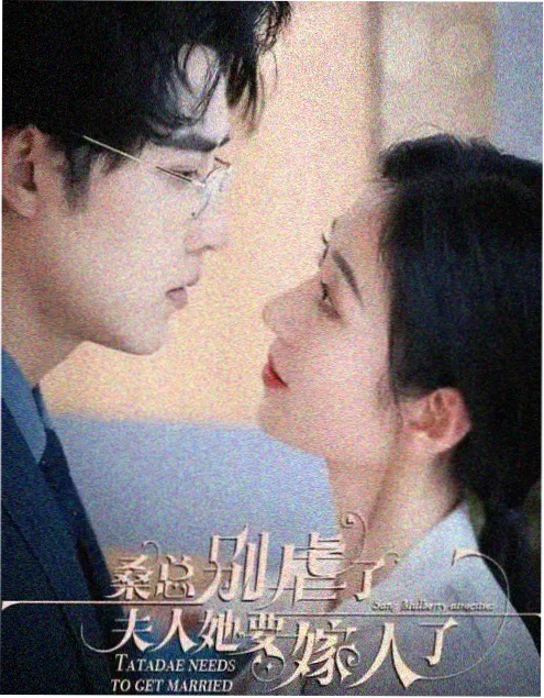 好看的电视剧《候鸟归期》海报