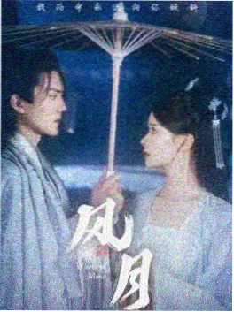 好看的电视剧《风起临安》海报